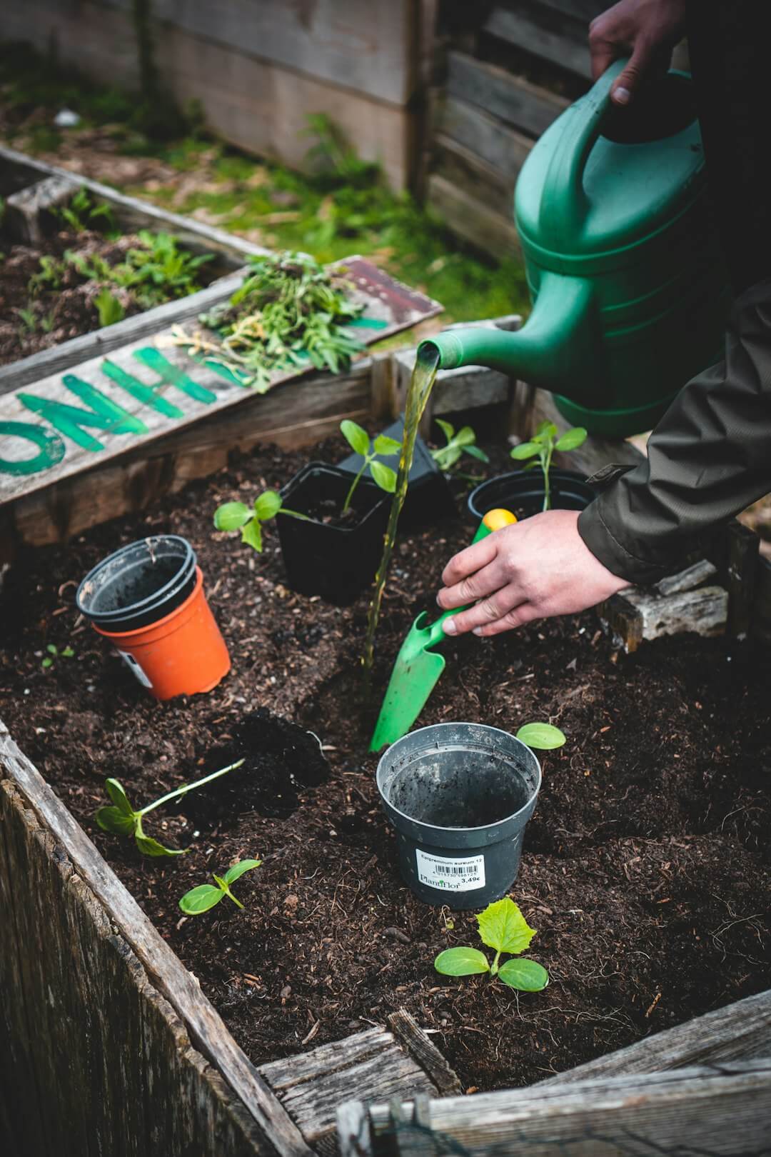 categories/outdoor-gardening.jpg